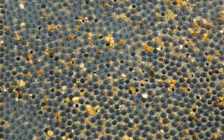 BlingCrete light reflecting concrete
