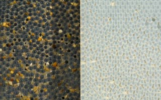 BlingCrete light reflecting concrete