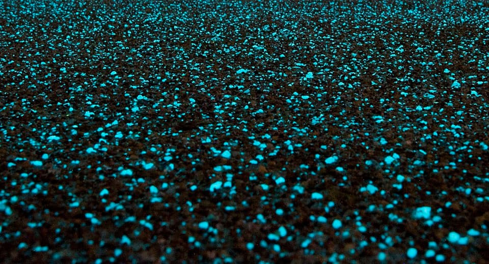 Starpath
