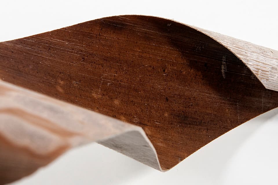 Palmleather