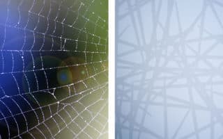 Ornilux Bird Protection Glass