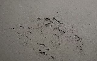 Imi-beton (concrete)