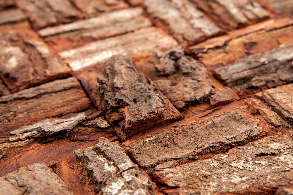Prambanam mahogany bark