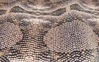 Gluetex Biovate Wallcovering