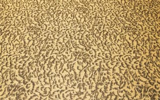 Aestetica composites