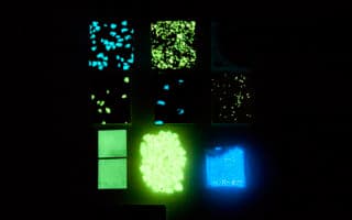 Glow In the Dark