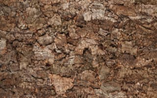 RUSTICORK cork tiles