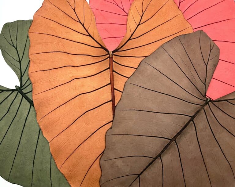 BELEAF