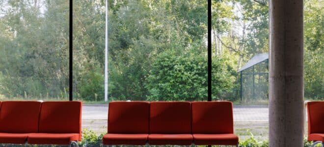 BirdShades bird protection window film