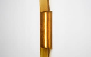 Rícino resin (castor oil based)