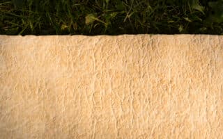 Mushroom Textile