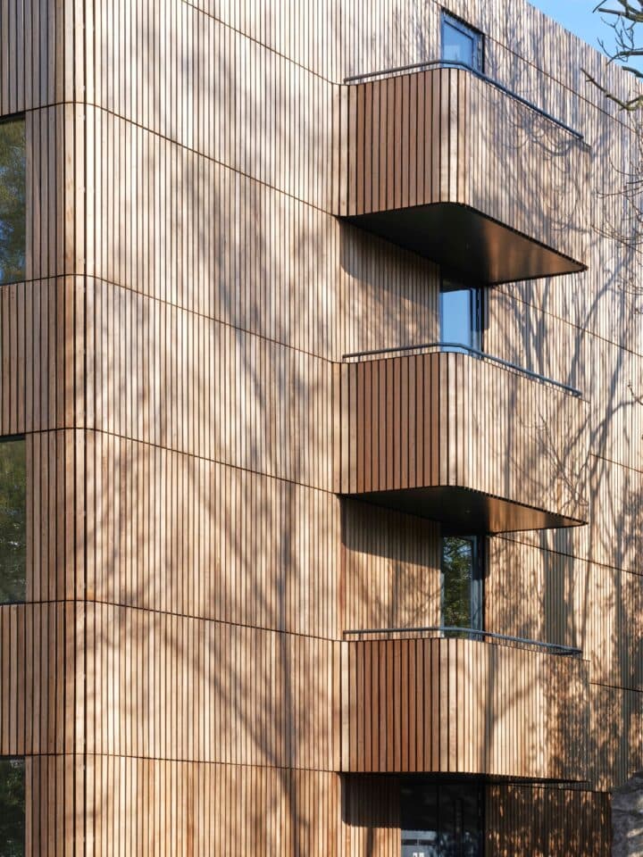 Platonised wood