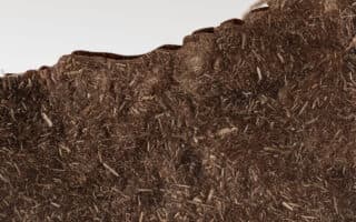 Bulrush Leather