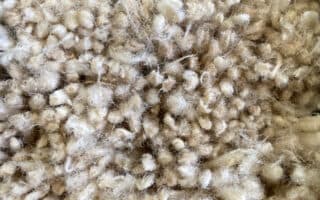 Recovered cellulose acetate