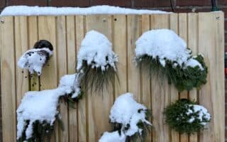 Leafy panels