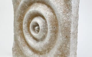 Mycelium Composite Panel