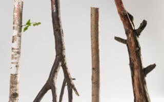 Omnibite: A Joint System Rethinking Material-Driven Design