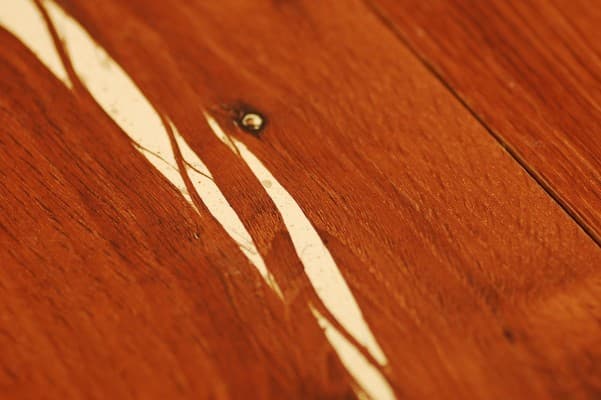 Tiger Oak