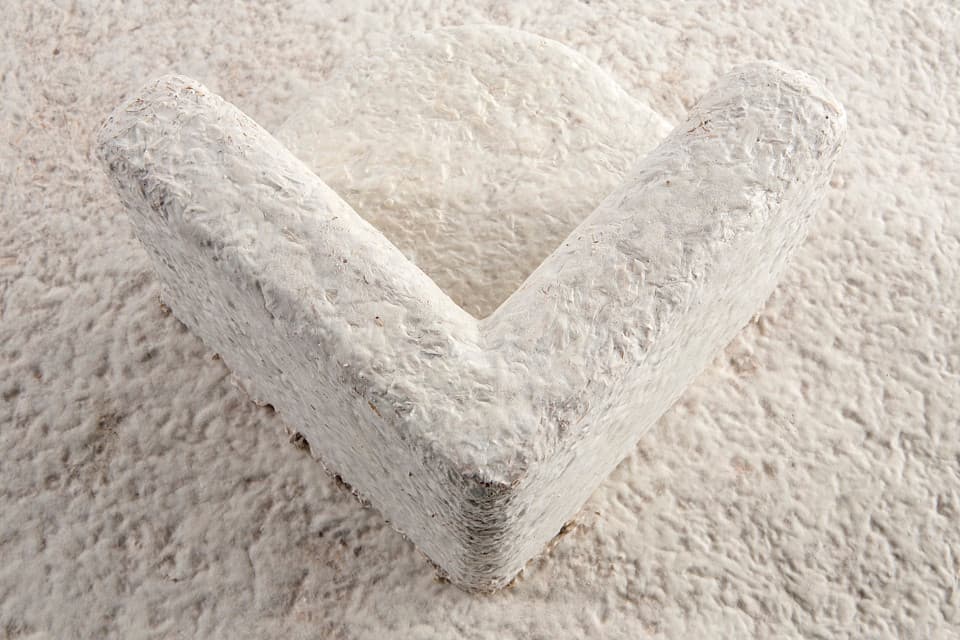 Mushroom Materials