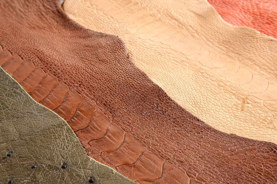 Ostrich Leather