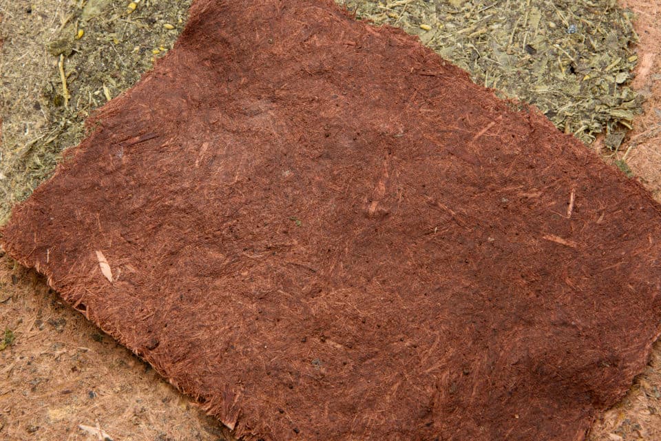 Willow paper