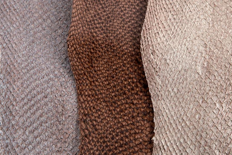Vegetable tanned salmon leather
