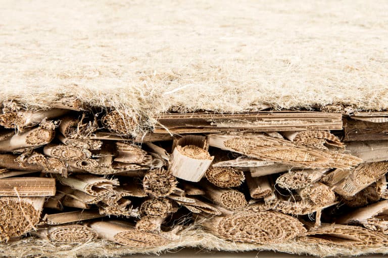 Typha insulation