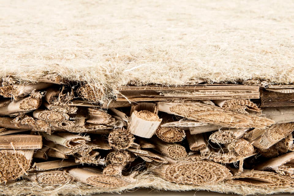 Typha insulation