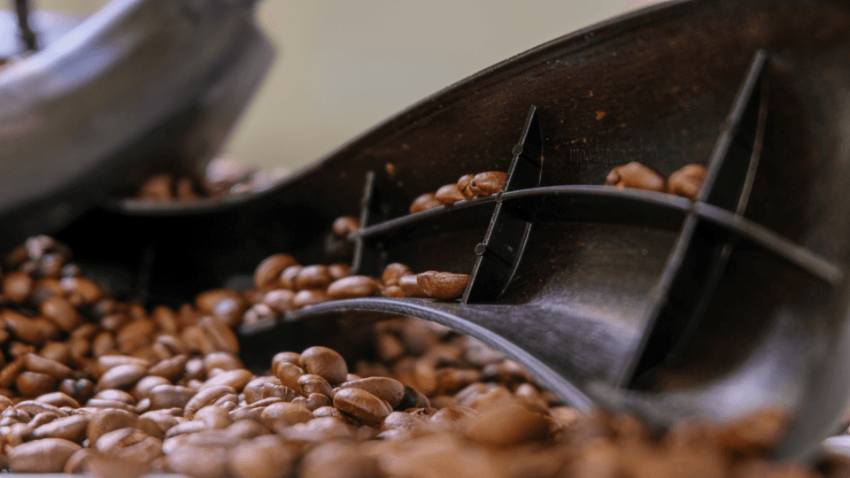 Coffee polymer