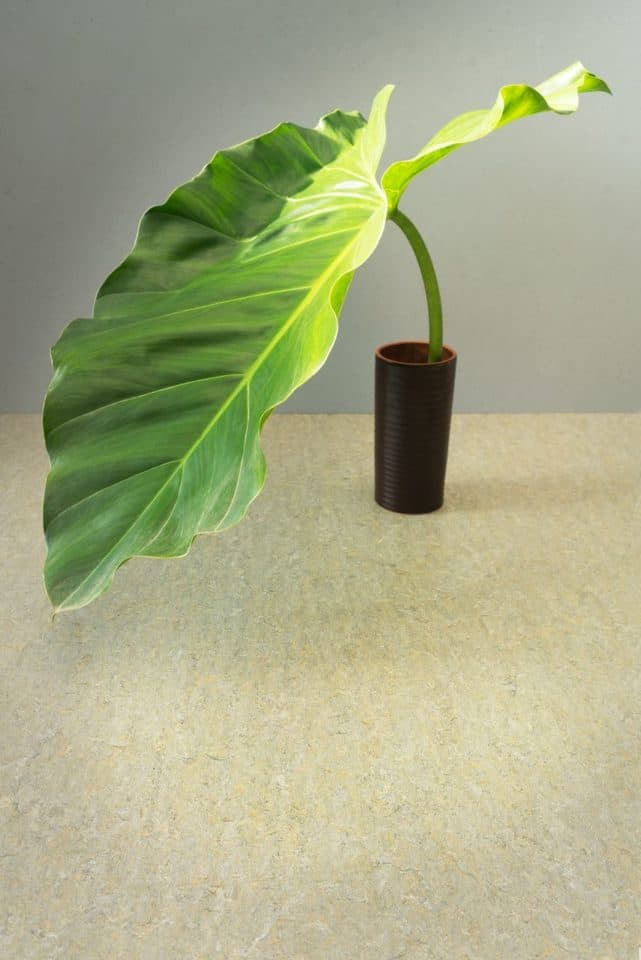 Marmoleum Marbled