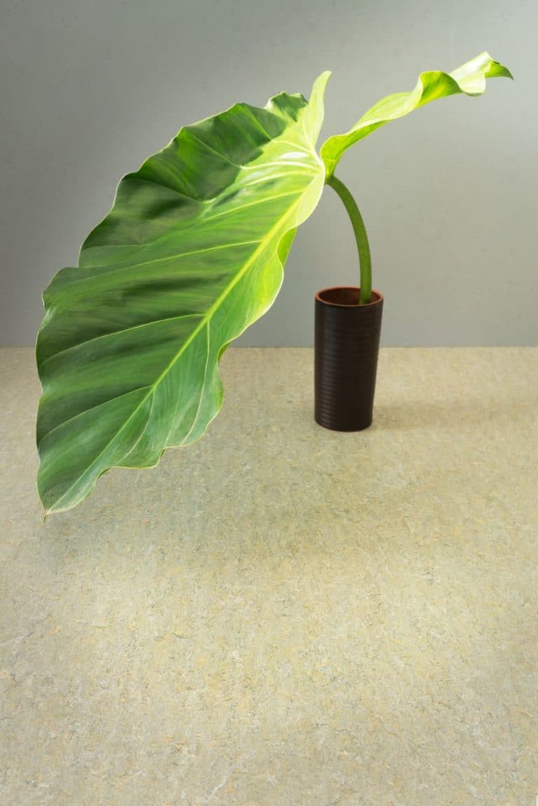 Marmoleum Marbled