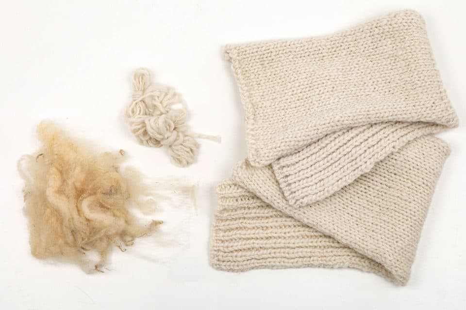 Dutch Wool