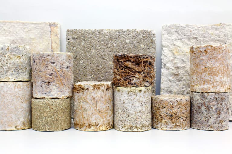 Biocomposites