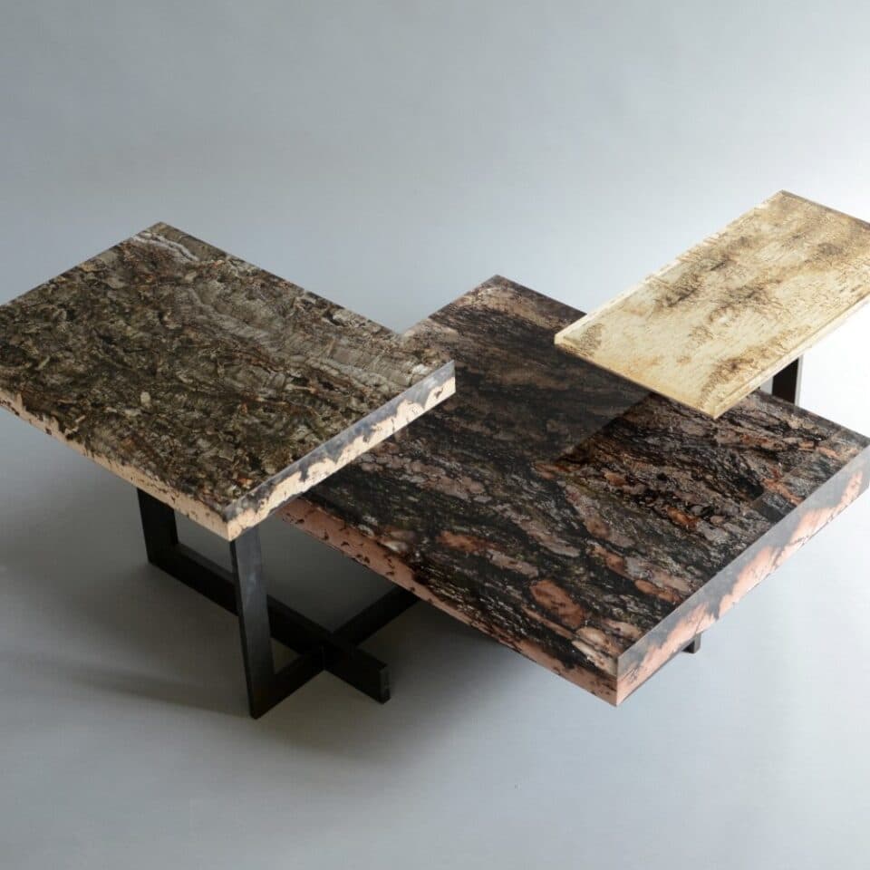 Phellem collection