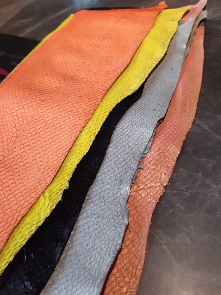 Salmon leather