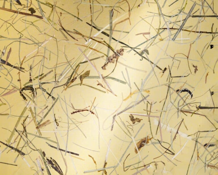 Organoid® WILDSPITZE GOLD