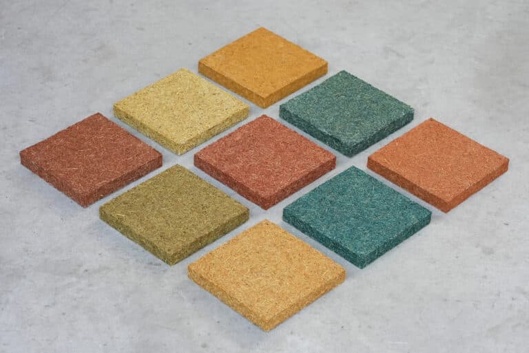 Sugarcane Bagasse Composites