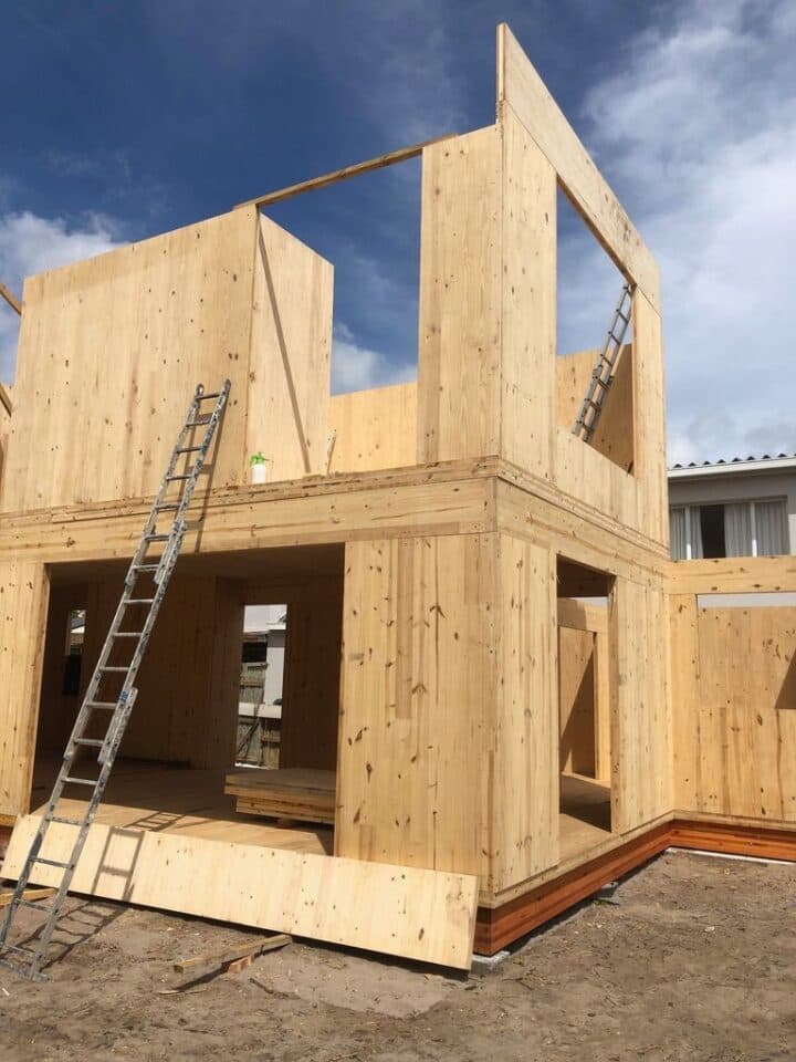 Eucalyptus grandis Cross Laminated Timber (CLT)