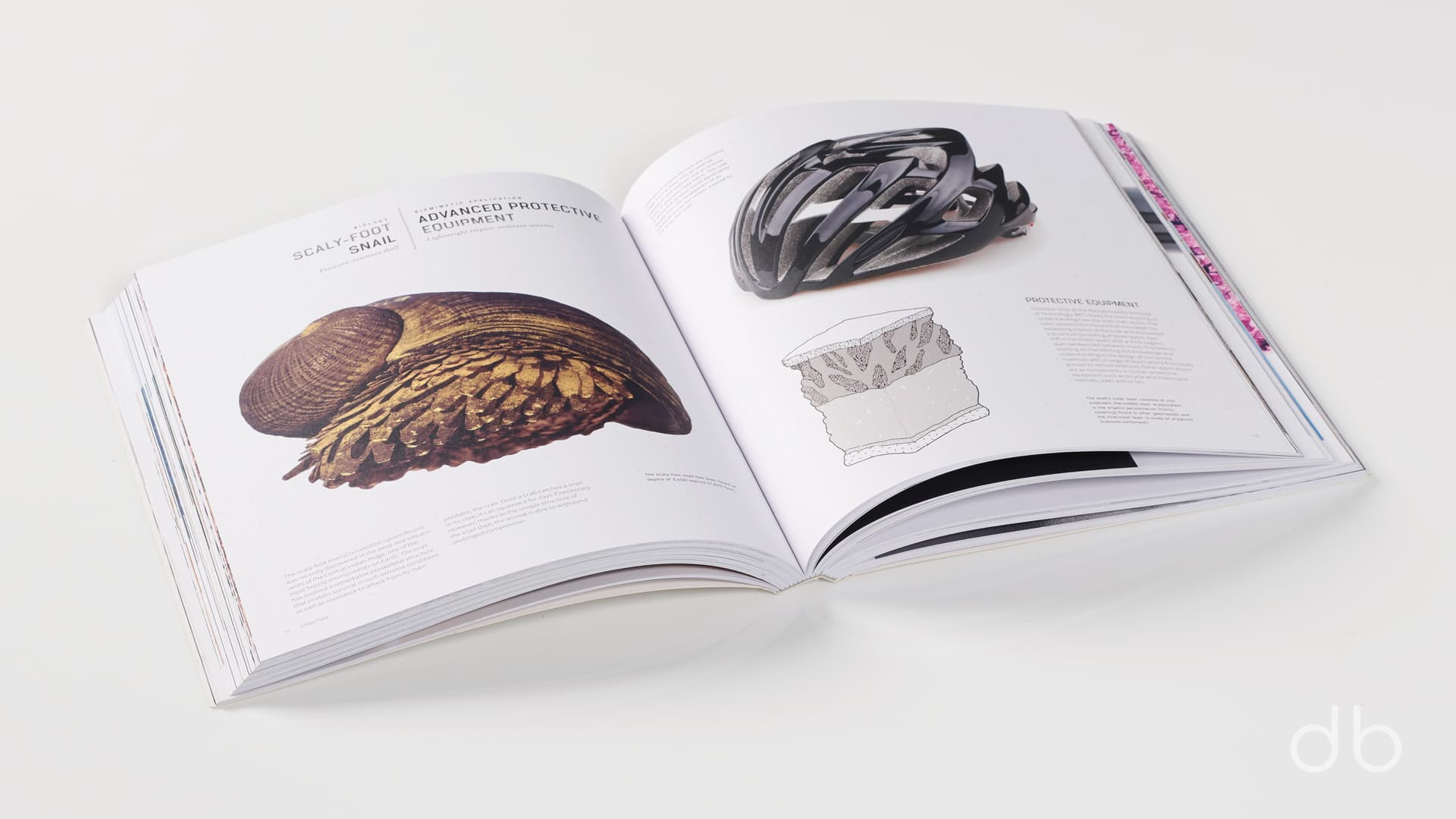 DesignerBooks_BiomimeticsForDesigners_Spreads3.jpg
