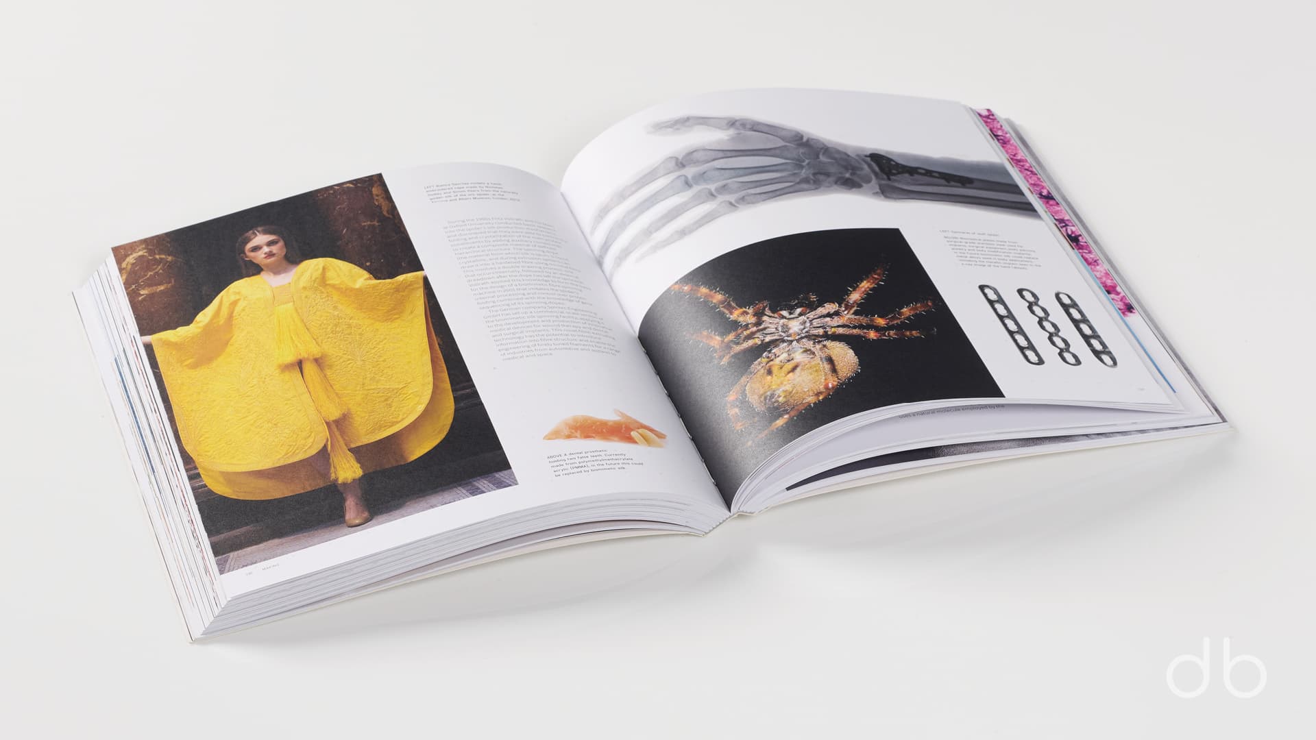 DesignerBooks_BiomimeticsForDesigners_Spreads4.jpg