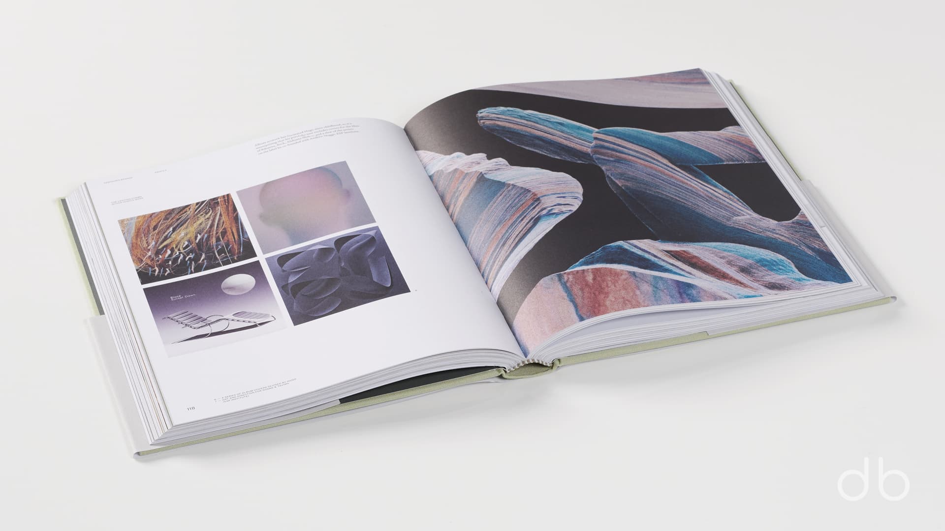 DesignerBooks_DesigningBrands_Spreads2.jpg