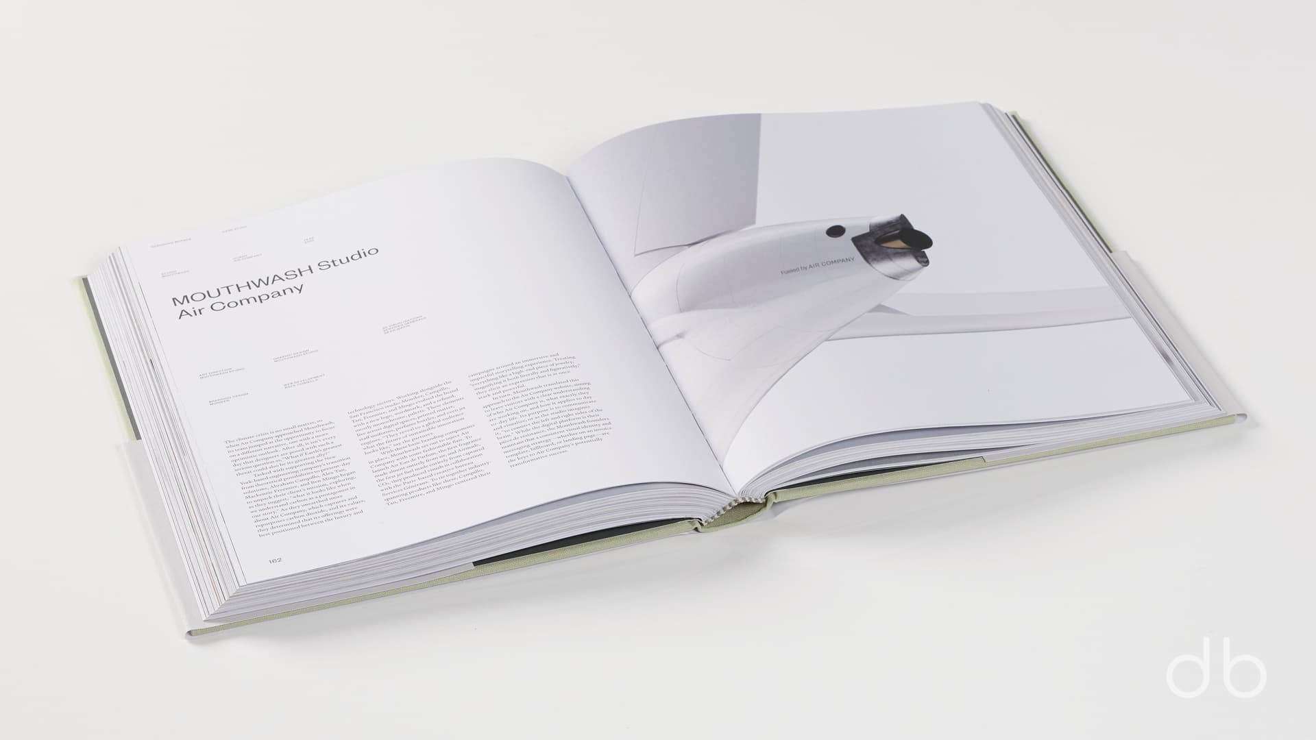 DesignerBooks_DesigningBrands_Spreads4.jpg
