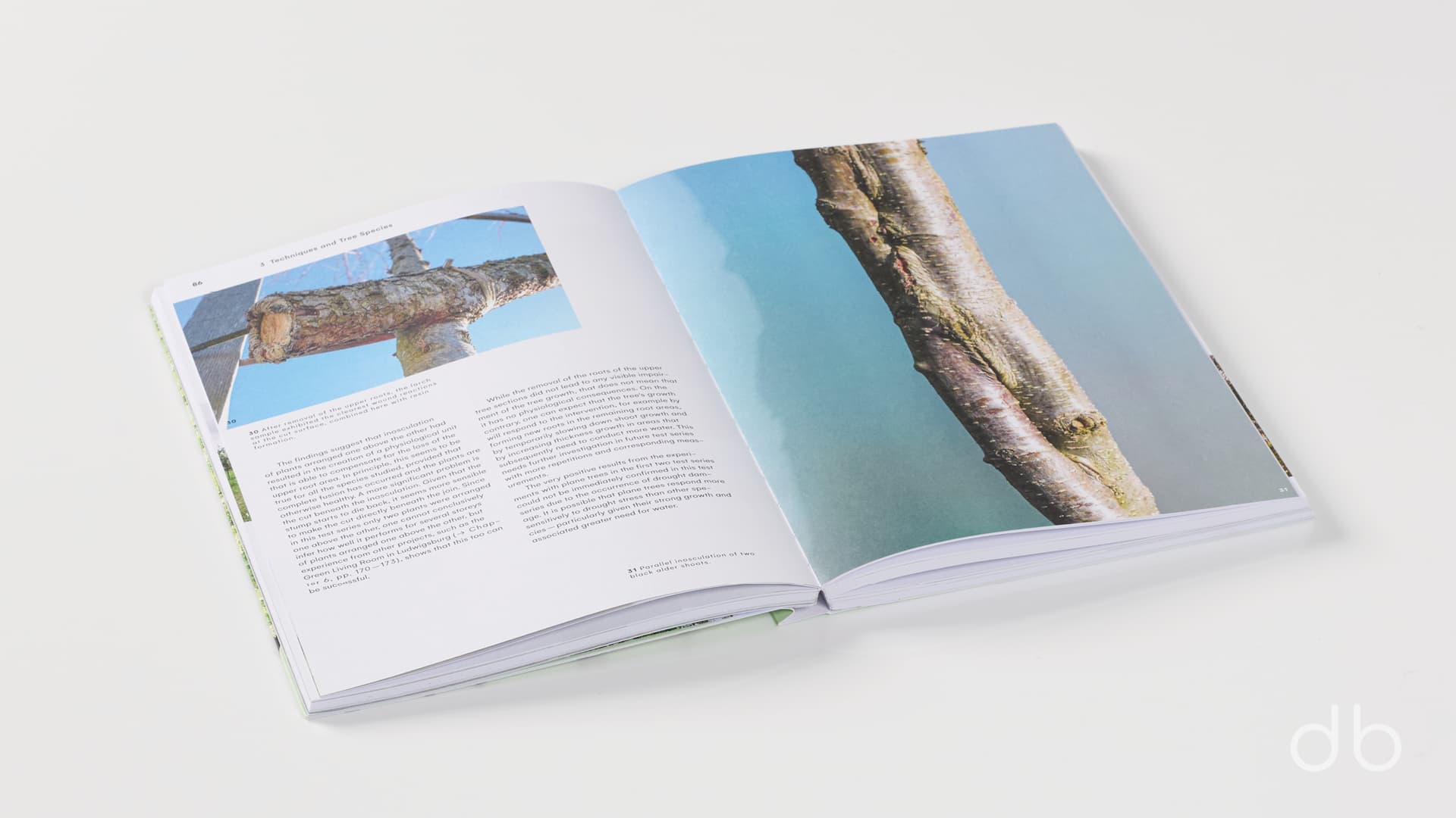DesignerBooks_GrowingArchitecture_Spreads3.jpg