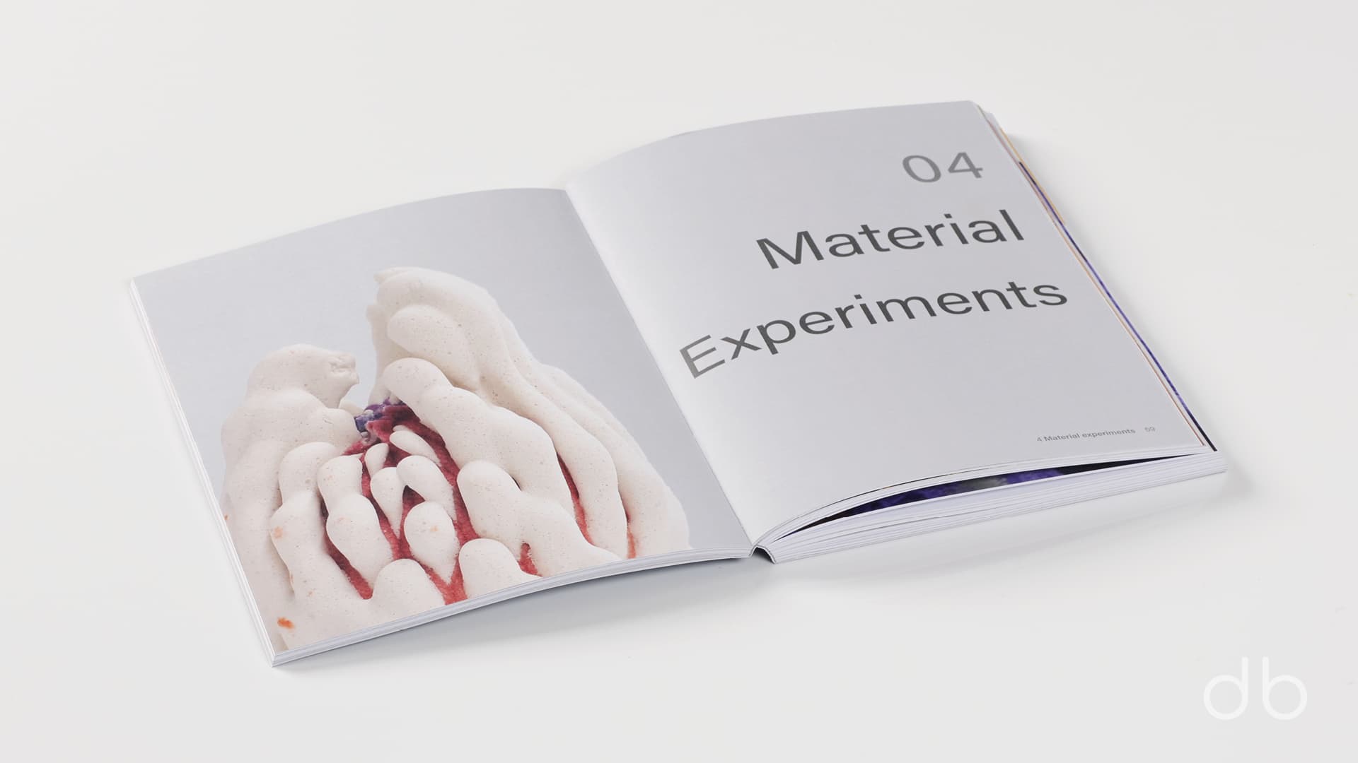 DesignerBooks_SymbioMatter_Spreads2.jpg