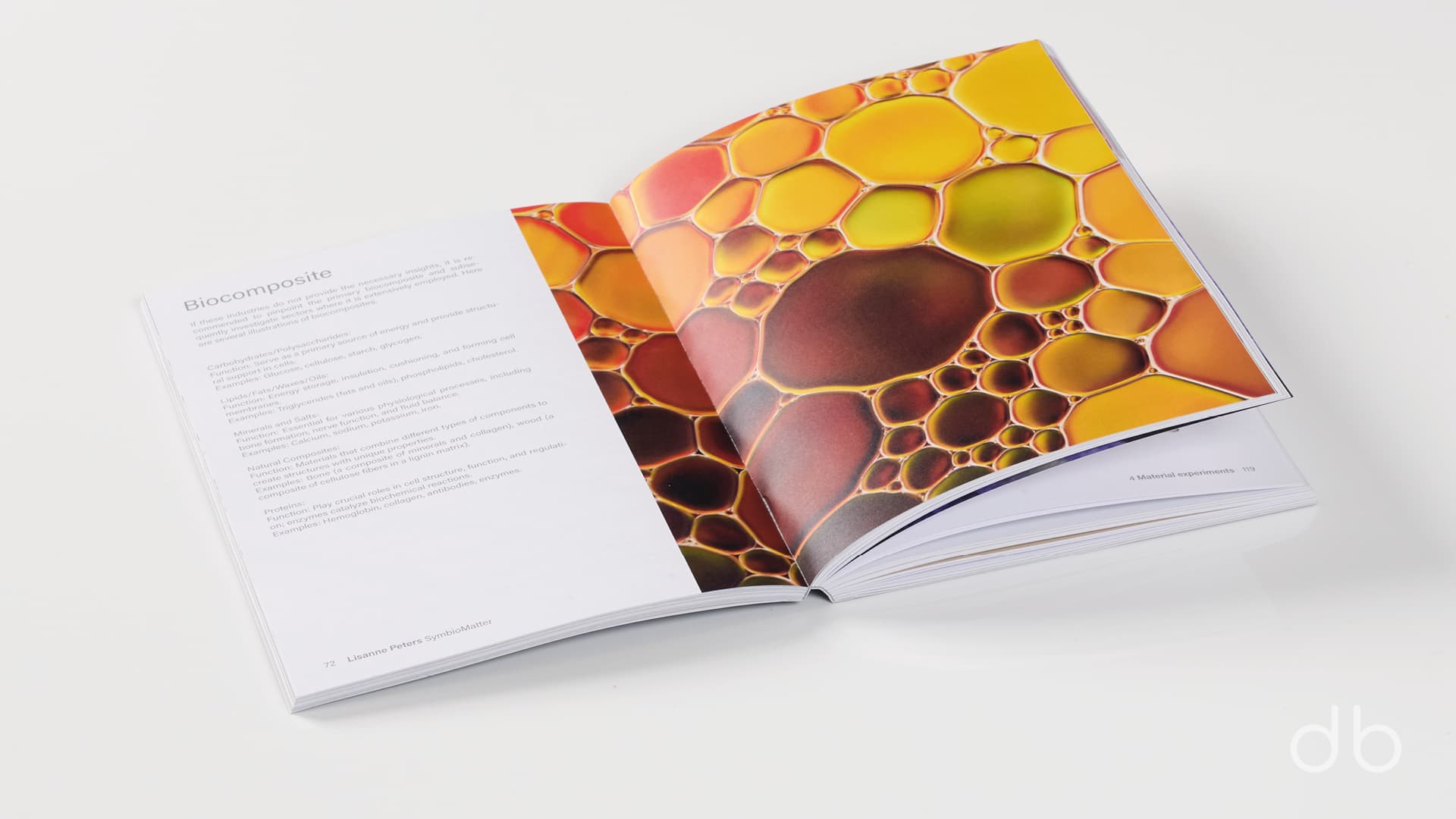 DesignerBooks_SymbioMatter_Spreads3.jpg