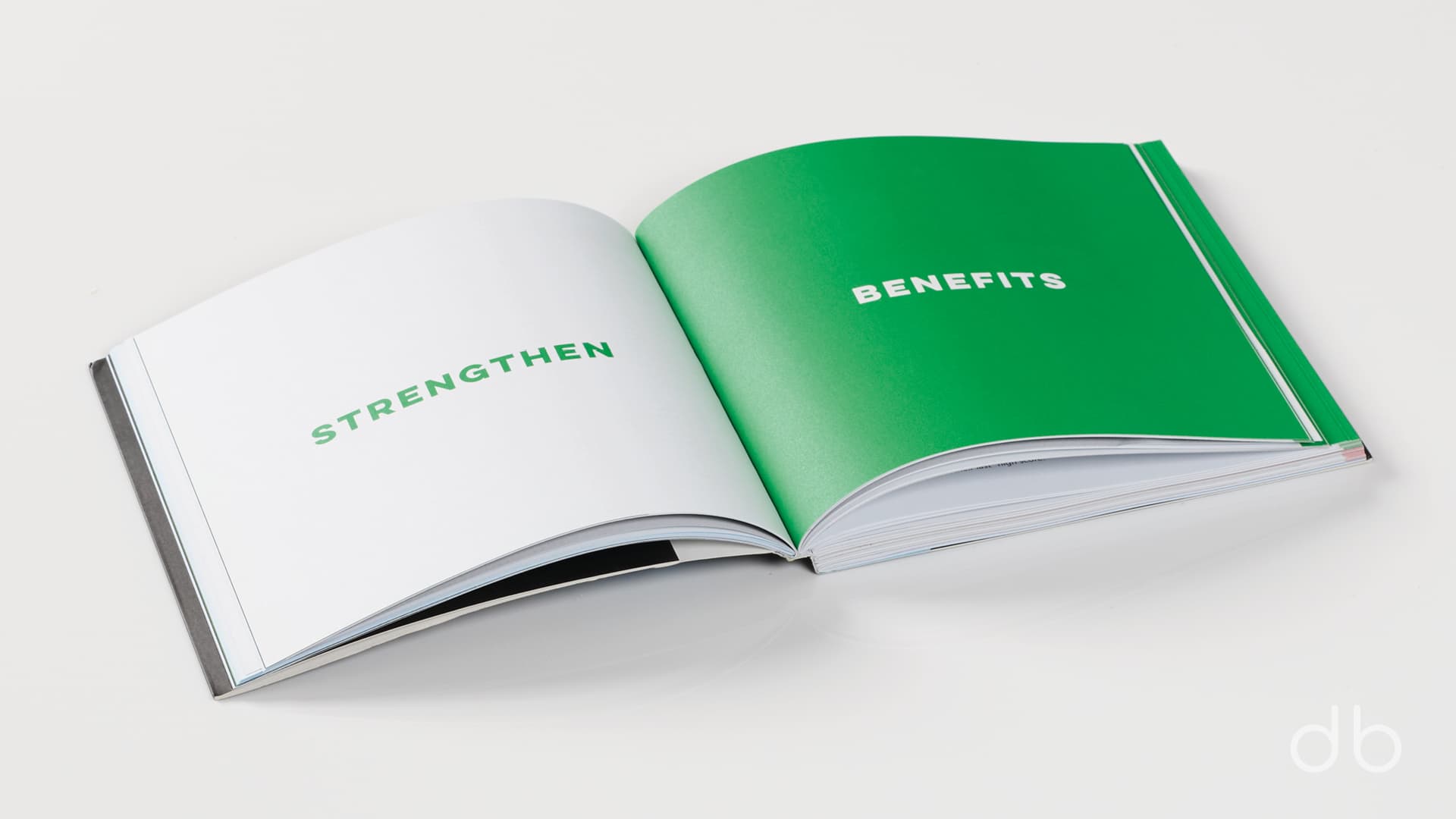 DesignerBooks_designingThingsThatMakeSense_Spreads2.jpg