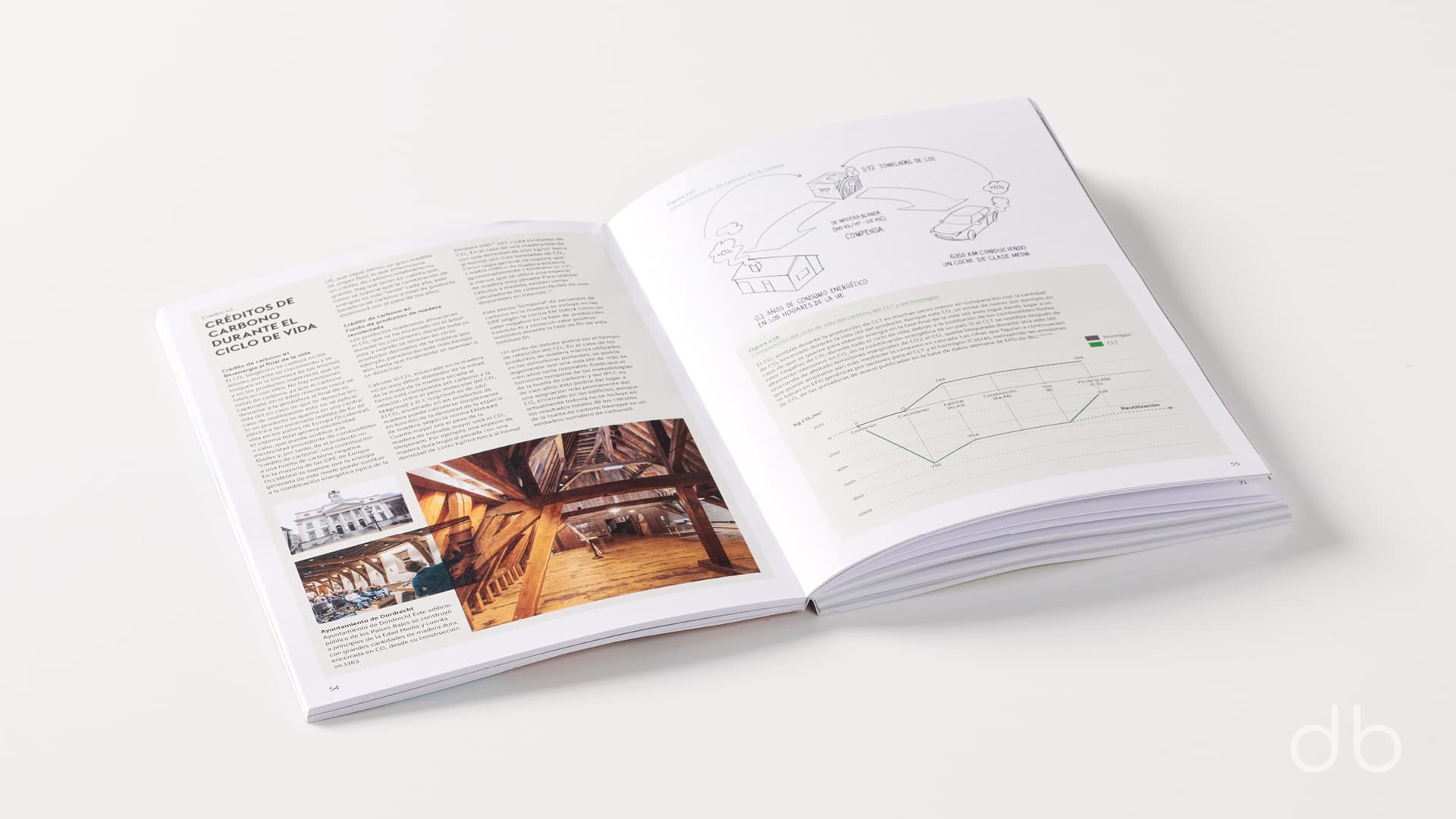 DesignerBooks_laMaderaDelManana_Spreads4.jpg