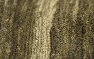 Tibetan Cactus Fibres Carpet