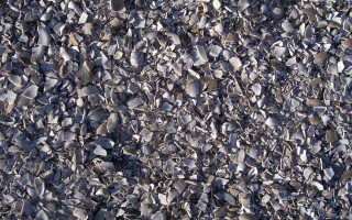 Oyster Shell Aggregate