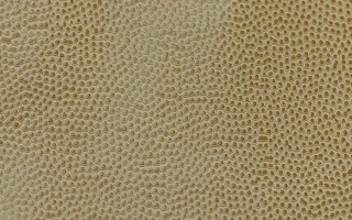 PIURO biodegradable leather